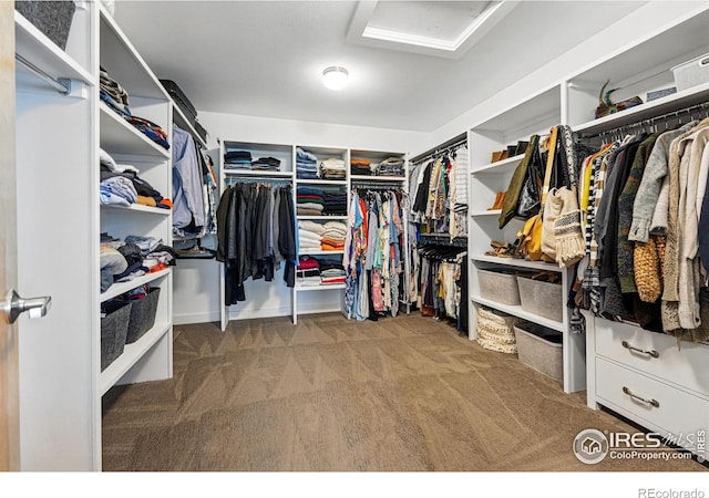 5145 Denver St, Boulder, CO 80304 - walk in closet with carpet flooring and attic access