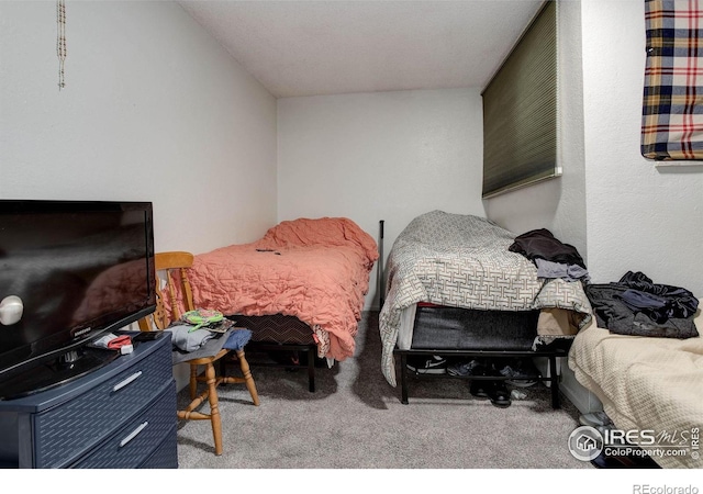 3030 Oneal Pkwy Unit 10, Boulder, CO 80301 - bedroom with carpet flooring
