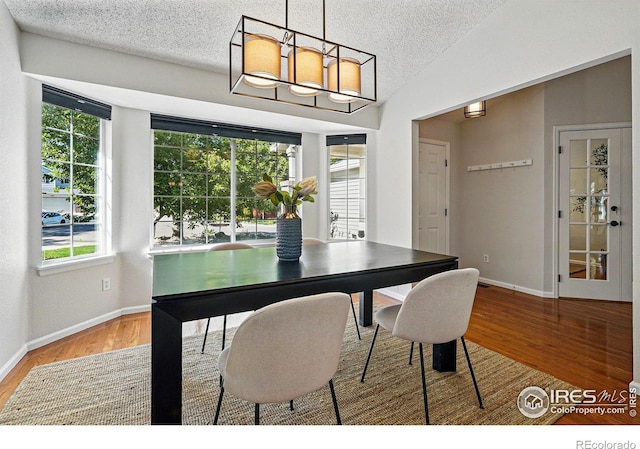1970 Hamron Ct, Erie, CO 80516 - dining room featuring healthy amount of natural light, wood finished floors, a textured ceiling, and baseboards