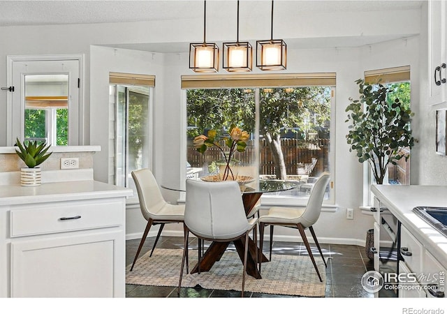 1970 Hamron Ct, Erie, CO 80516 - dining room featuring baseboards, dark tile patterned floors, and a textured ceiling