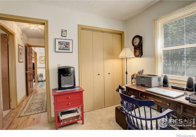 2219 Meadow Green Cir, Franktown, CO 80116 - office with a textured ceiling