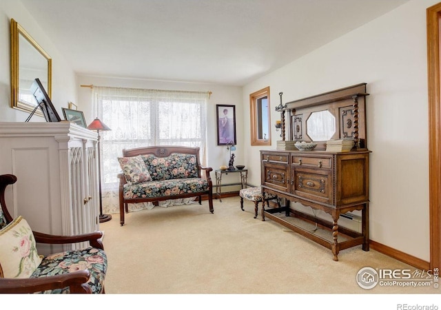 2219 Meadow Green Cir, Franktown, CO 80116 - living area with carpet flooring and baseboards