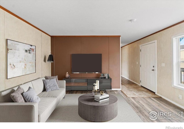 830 1st St # 14, Pierce, CO 80650 - living room with ornamental molding, wood finished floors, and baseboards