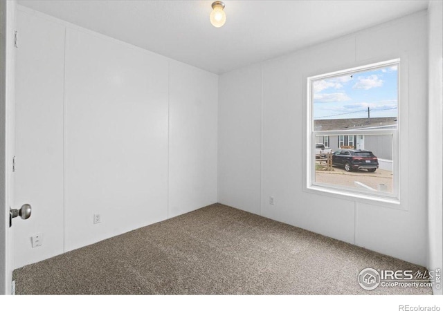 830 1st St # 14, Pierce, CO 80650 - empty room with carpet floors