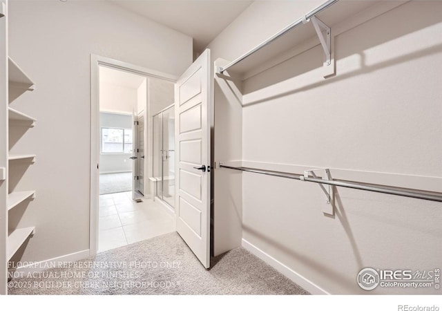 walk in closet featuring carpet floors