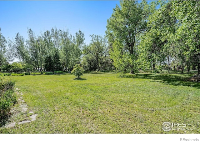 view of grassy yard