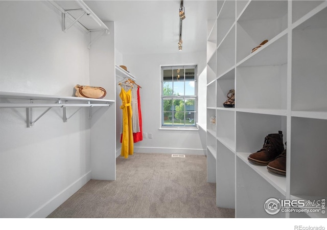spacious closet featuring carpet