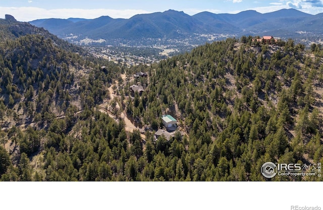580 Upper Venner Rd, Estes Park, CO 80517 - photo 4