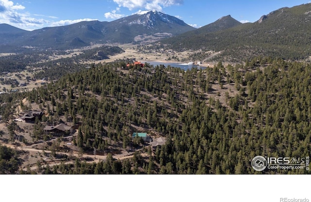 580 Upper Venner Rd, Estes Park, CO 80517 - photo 5