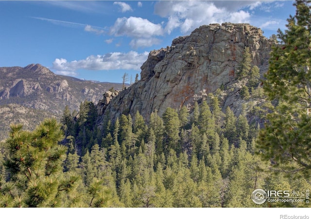 580 Upper Venner Rd, Estes Park, CO 80517 - photo 25
