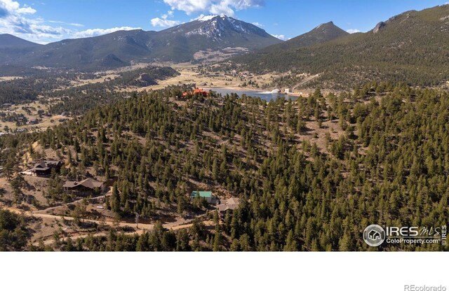 580 Upper Venner Rd, Estes Park, CO 80517 - photo 26