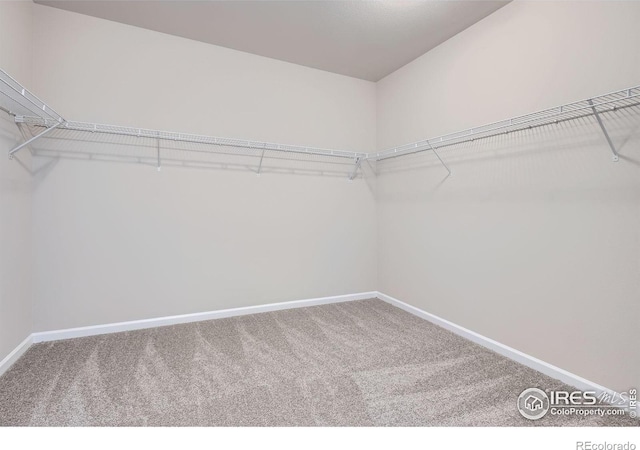 2710 Crystal Spgs, Longmont, CO 80503 - spacious closet with carpet