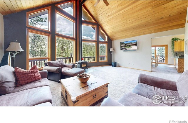 287 Wichita Rd, Lyons, CO 80540 - photo 4