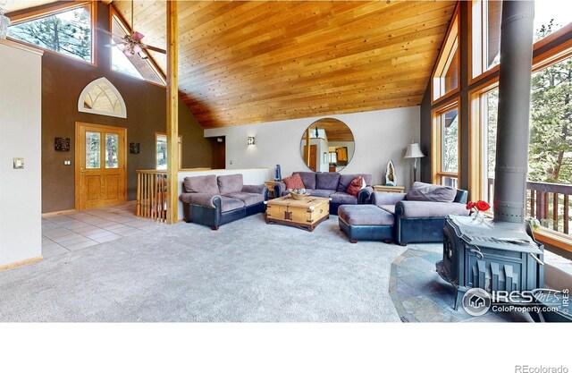 287 Wichita Rd, Lyons, CO 80540 - photo 5