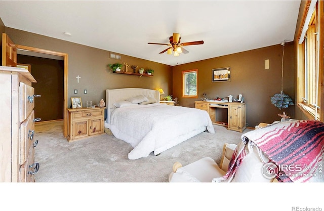 287 Wichita Rd, Lyons, CO 80540 - photo 10