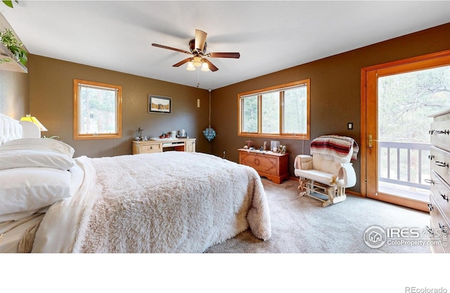 287 Wichita Rd, Lyons, CO 80540 - photo 11