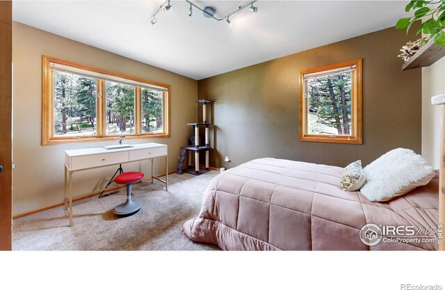 287 Wichita Rd, Lyons, CO 80540 - photo 14