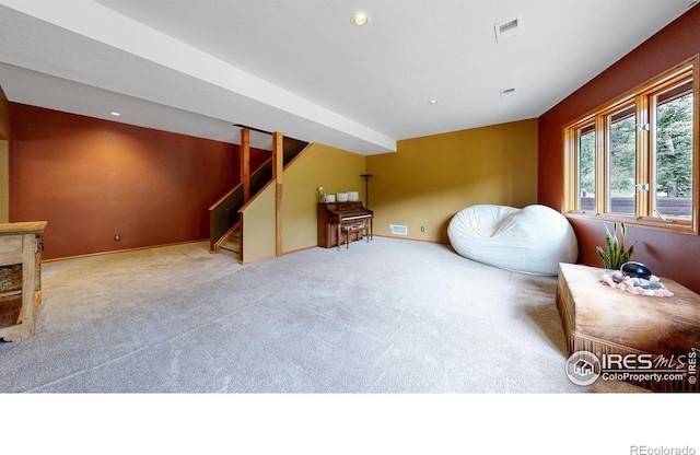 287 Wichita Rd, Lyons, CO 80540 - photo 16