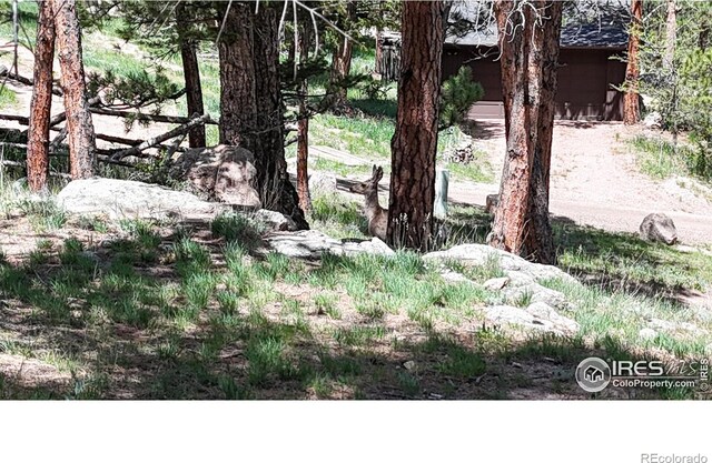 287 Wichita Rd, Lyons, CO 80540 - photo 33