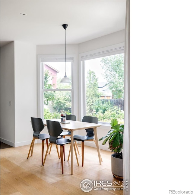 dining room featuring light wood finished floors and baseboards