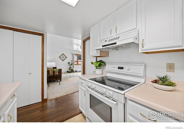4560 Larkbunting Dr Unit 5D, Fort Collins, CO 80526 - kitchen with white range with electric stovetop, under cabinet range hood, dark wood-style flooring, and white cabinetry