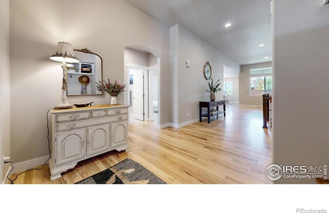 1896 Cloud Ct, Windsor, CO 80550