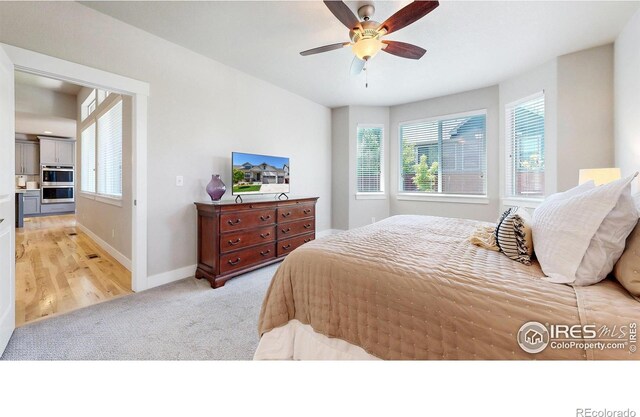 1896 Cloud Ct, Windsor, CO 80550