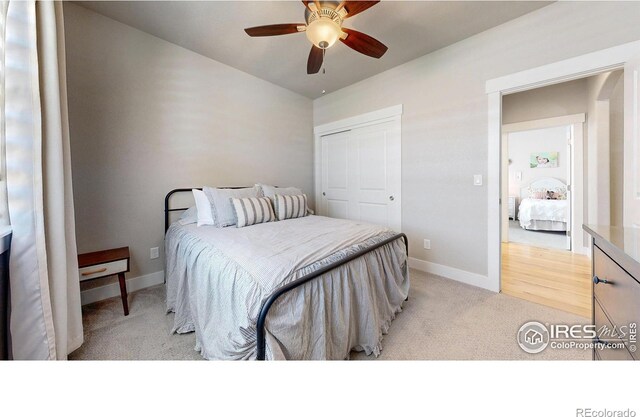 1896 Cloud Ct, Windsor, CO 80550