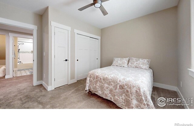 1896 Cloud Ct, Windsor, CO 80550