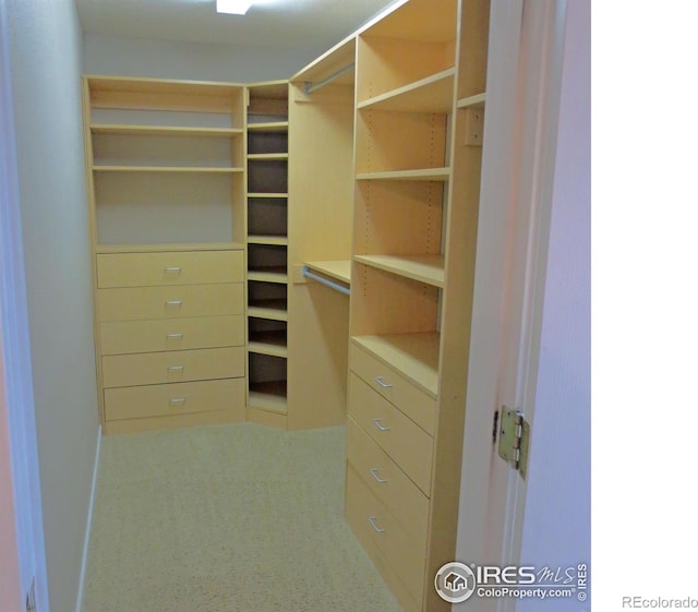 33 S Boulder Cir Unit 122, Boulder, CO 80303 - walk in closet with carpet flooring