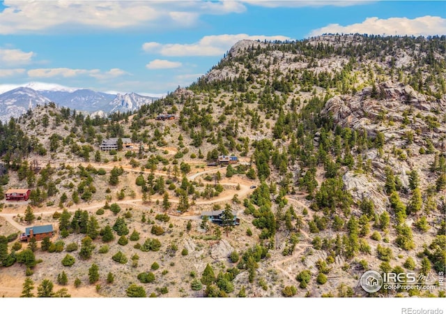 1550 Prospect Mountain Dr, Estes Park, CO 80517 - photo 37