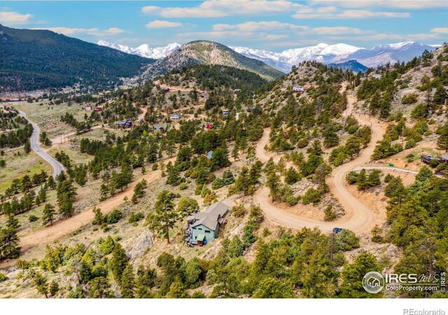 1550 Prospect Mountain Dr, Estes Park, CO 80517 - photo 39