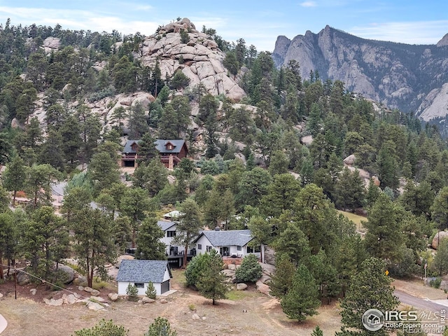 370 Big Boulder Dr, Estes Park, CO 80517 - mountain view