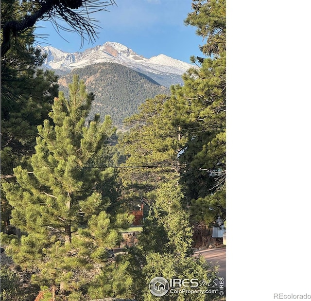 370 Big Boulder Dr, Estes Park, CO 80517 - mountain view featuring a heavily wooded area