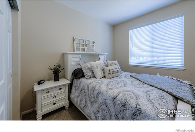 489 Hayloft Way, Brighton, CO 80601 - bedroom with dark colored carpet