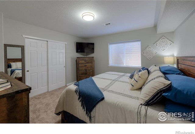 489 Hayloft Way, Brighton, CO 80601 - bedroom featuring carpet and a closet