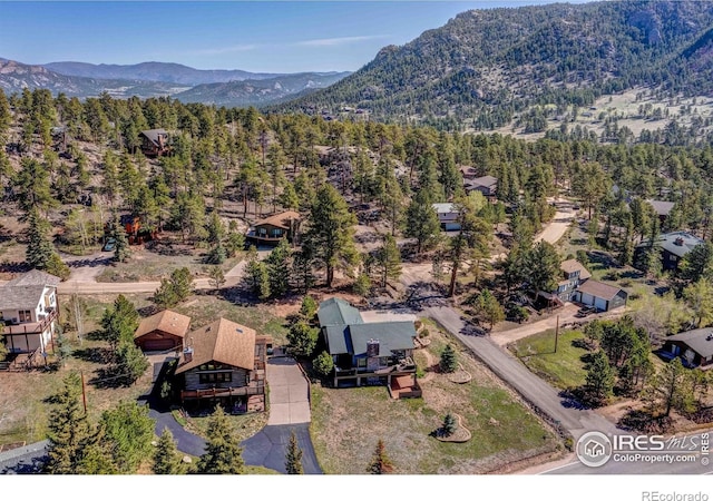 901 Rambling Dr, Estes Park, CO 80517 - photo 19