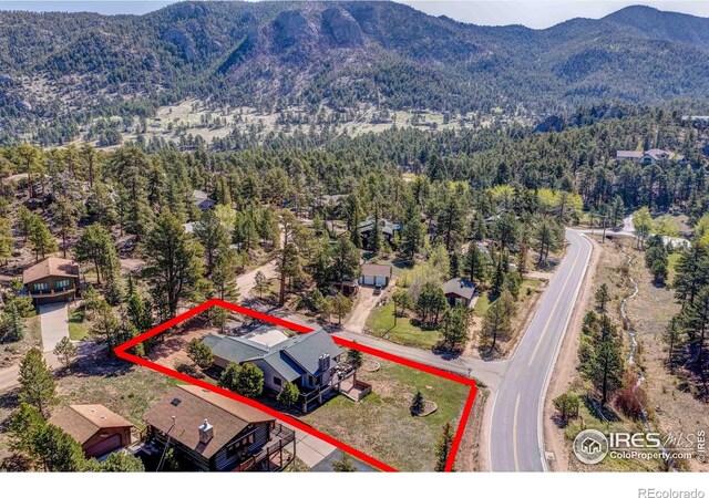 901 Rambling Dr, Estes Park, CO 80517 - photo 20