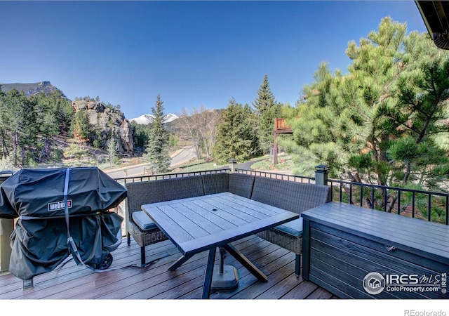 901 Rambling Dr, Estes Park, CO 80517 - photo 14