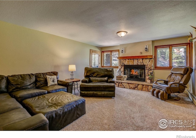 901 Rambling Dr, Estes Park, CO 80517 - photo 31