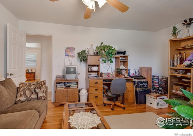 10007 E County Line Rd, Longmont, CO 80501 - office space featuring light wood-style flooring and ceiling fan