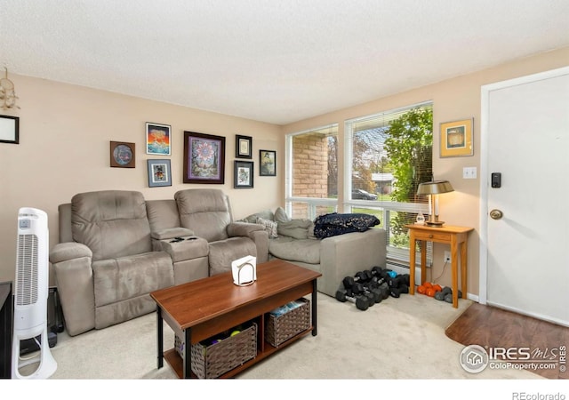2709 Harvard St Unit 3, Fort Collins, CO 80525 - view of carpeted living area