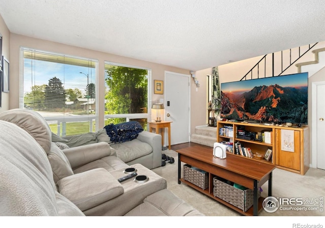 2709 Harvard St Unit 3, Fort Collins, CO 80525 - living room featuring a textured ceiling and carpet