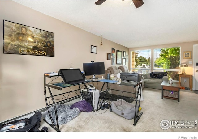 2709 Harvard St Unit 3, Fort Collins, CO 80525 - office space featuring ceiling fan and carpet