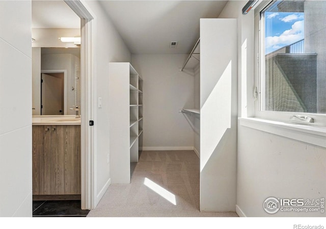 2625 W 25th Ave Unit 7, Denver, CO 80211 - walk in closet with carpet flooring
