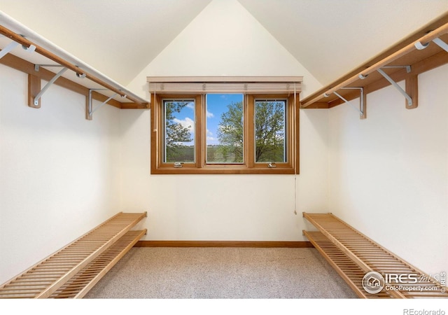 10481 Oxford Rd, Longmont, CO 80504 - spacious closet with carpet flooring and vaulted ceiling