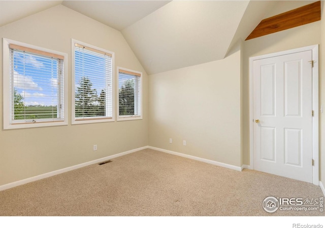 10481 Oxford Rd, Longmont, CO 80504 - bonus room featuring lofted ceiling, carpet flooring, and baseboards