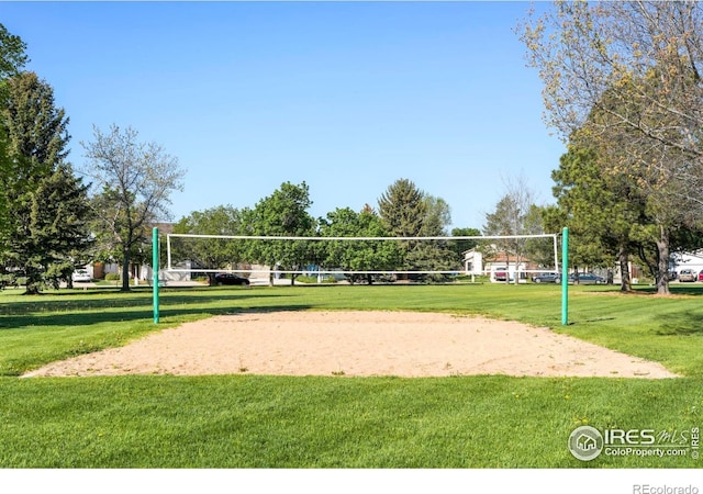 821 Hayden Ct, Longmont, CO 80503 - view of property's community featuring volleyball court and a lawn