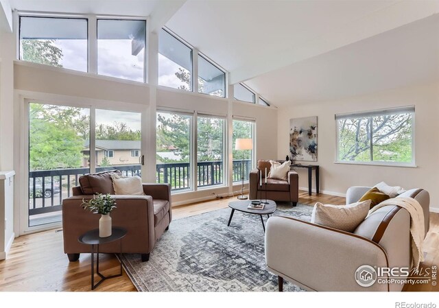 3410 Heidelberg Dr, Boulder, CO 80305 - living area featuring healthy amount of natural light, lofted ceiling, wood finished floors, and baseboards