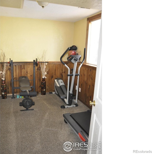 exercise area featuring a wainscoted wall, wooden walls, and carpet floors